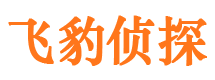 广陵捉小三公司